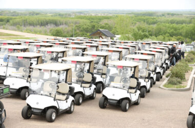 Rows of golf carts
