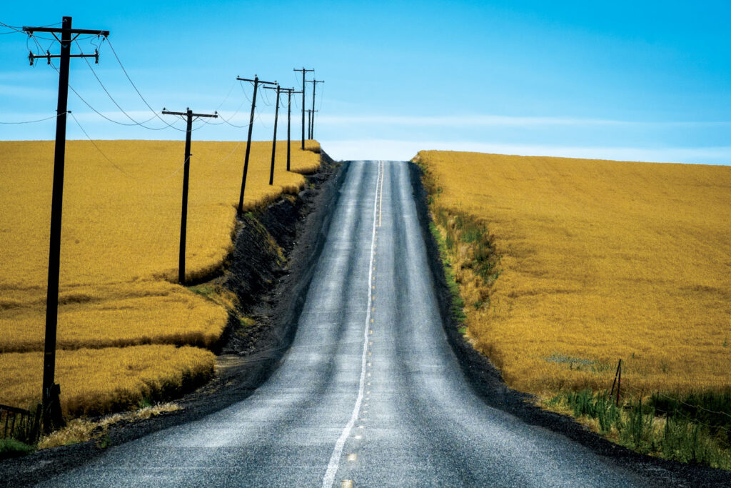 Road through wheat fields