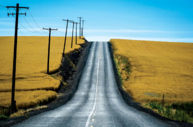 Road through wheat fields