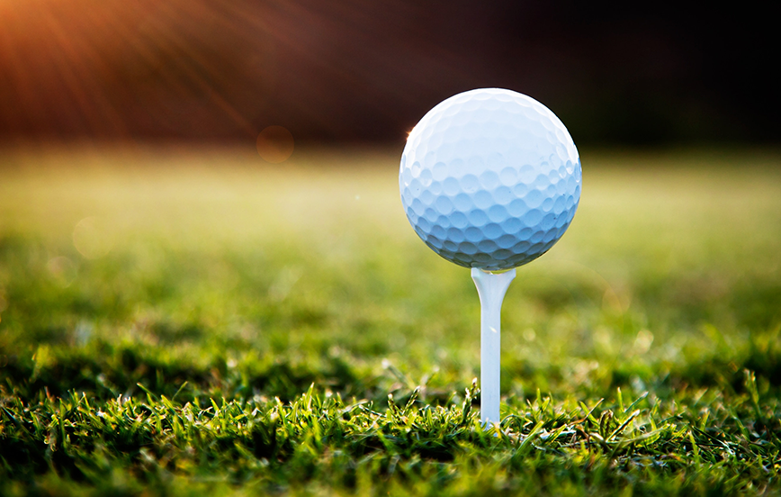 Thank You to the Sponsors of the SHCA Southern Golf Tournament!