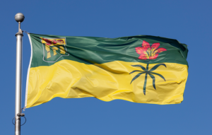 SHCA Member Action Needed: Add Your Voice to Ours