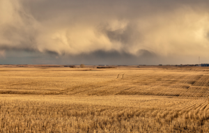 Saskatchewan Seems to Have a Different Economy