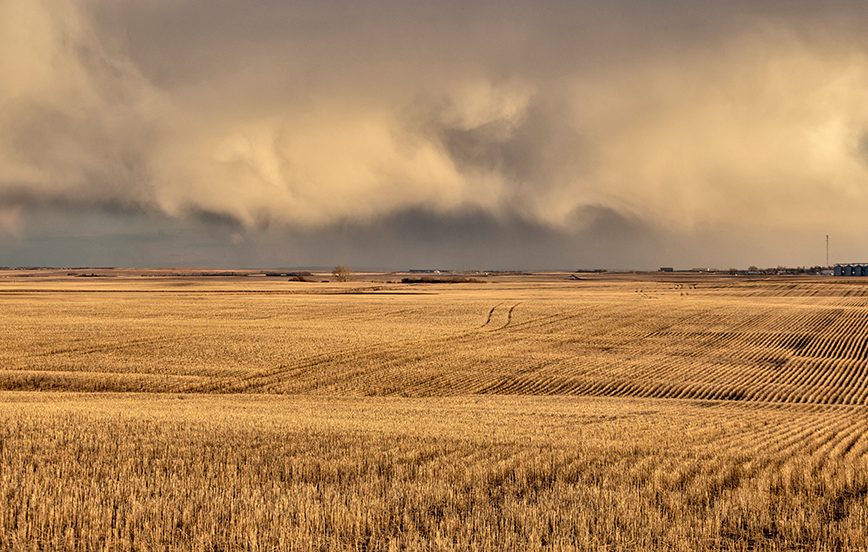 Saskatchewan Seems to Have a Different Economy