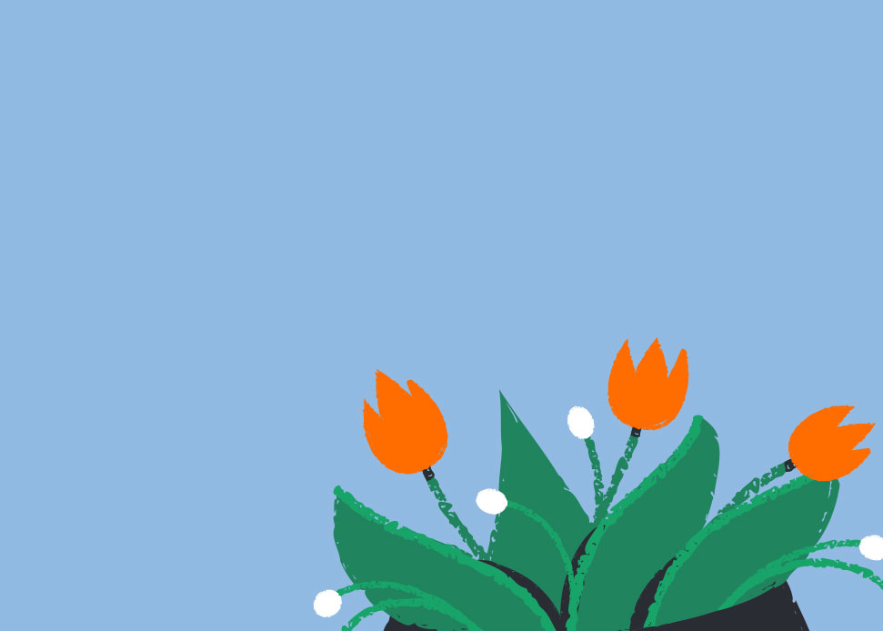 Illustration of orange flowers